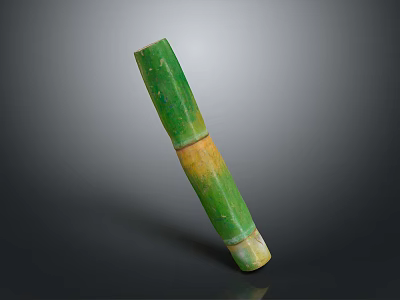Green And Yellow Bamboo Stem With Smooth Texture Isolated On Dark Background 3d model