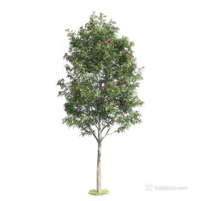 Tall Lush Arbor With Green Leaves And Red Flowers On White Background 3d model 