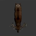 Majestic Brown Deer With Large Antlers Standing On Gray Background