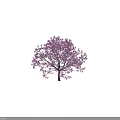 Vibrant Blooming Arbor Tree With Purple Flowers And Human Silhouette For Scale Reference