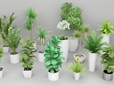 Variety of Green Potted Plants for Indoor Decor with White Containers 3d model