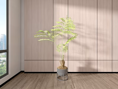 Home View 3d model