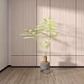 Home View 3d model