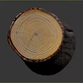 Rustic Wooden Stump With Cross Section Growth Rings And Natural Bark Texture