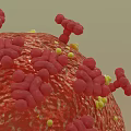 Detailed 3D Rendering of Virus Structure With Red Surface Spike Proteins and Yellow Particles