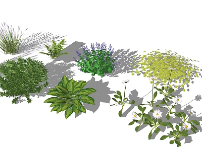 Different Ground Cover Plants For Garden Landscaping With Green Foliage And Flowers 3d model