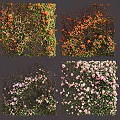 Blooming Colorful Vines With Orange Purple Pink Flowers In Square Panels