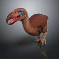 Dodo Bird 3D Model With Brown Feathers Blue Eyes Red Beak Standing On Gray Background