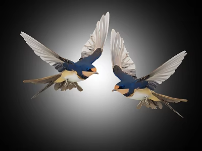 Bird silhouette flying bird animal wings peace dove flying decoration animal wall decoration icon spring silhouette 3d model