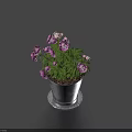 Vibrant Potted Bonsai Plant With Purple Flowers Green Leaves In Metal Pot And Silver Tray