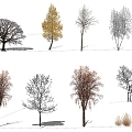 Modern Tree Dead Tree Winter Tree 3d model