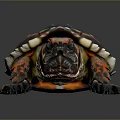 Colorful Turtle With Vibrant Red And Black Shell On Dark Background
