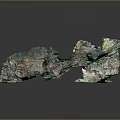 Natural Rock Formation With Green And Brown Textures On Reflective Surface