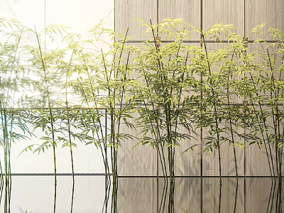 Tall Bamboo Plants With Green Leaves And Natural Light Reflection In Modern Space 3d model