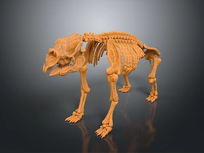 Orange Colored Animal Skeleton 3D Model With Detailed Bone Structure And Dark Background 3d model