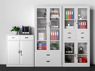 White Bookcase With Glass Doors And Storage For Folders Books And Plants 3d model