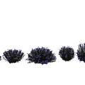 Vibrant Garden Flower Arrangement With Purple Blooms And Lush Green Leaves