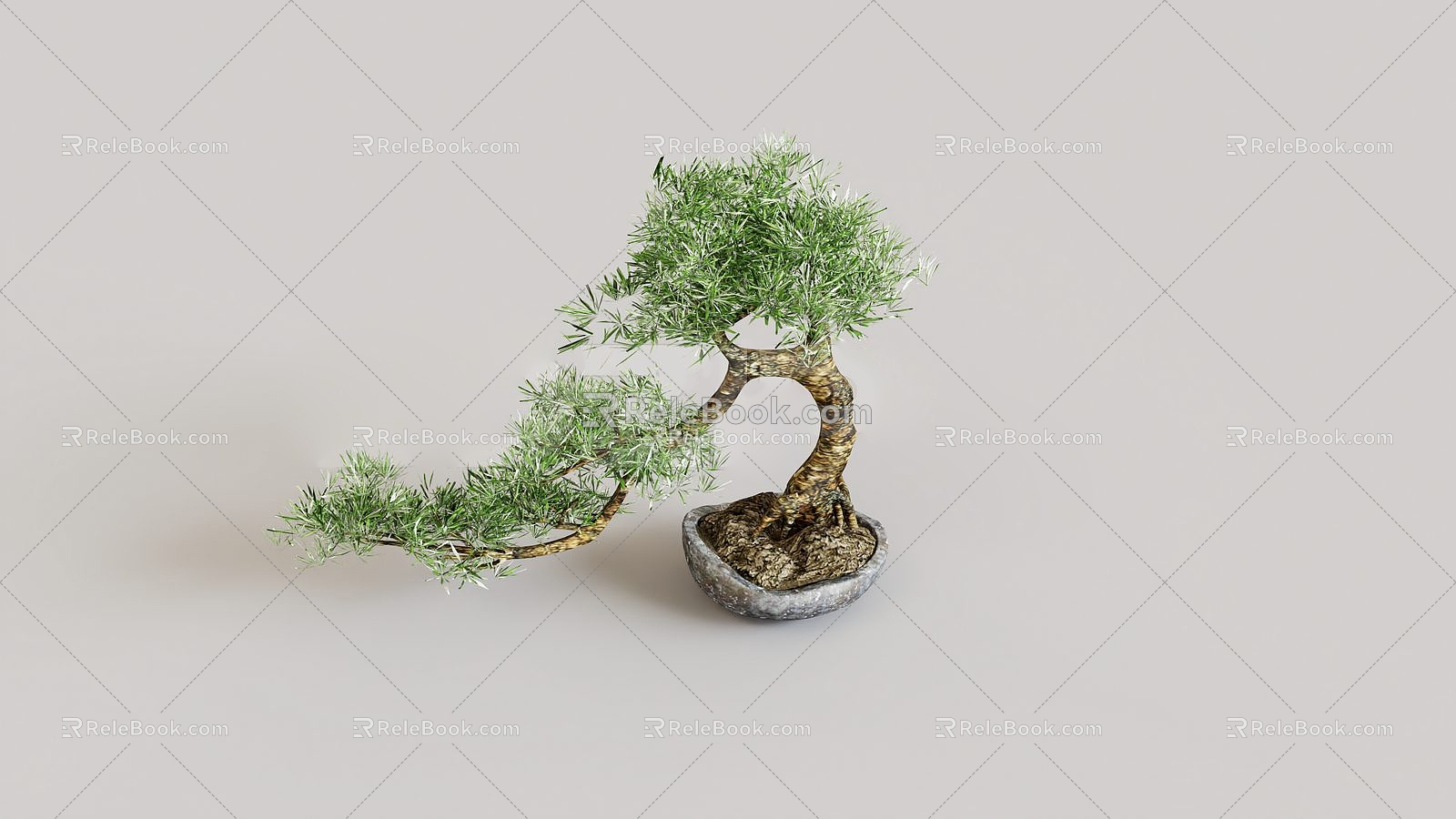 Pine bonsai green plant tree shrub flower pot evergreen tree 3d model