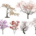 Modern Flower Tree Landscape Modeling Color Leaf Plant Flowering Tree 3d model