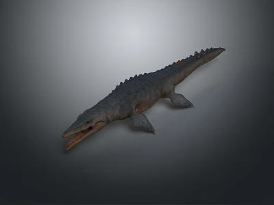 Realistic 3D Crocodile Model With Open Mouth Scaly Skin And Gray Gradient Background 3d model