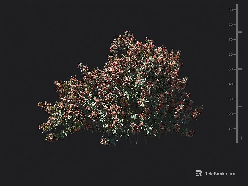 Dense Foliage Shrub With Green And Red Leaves For Garden Landscaping 3d model 