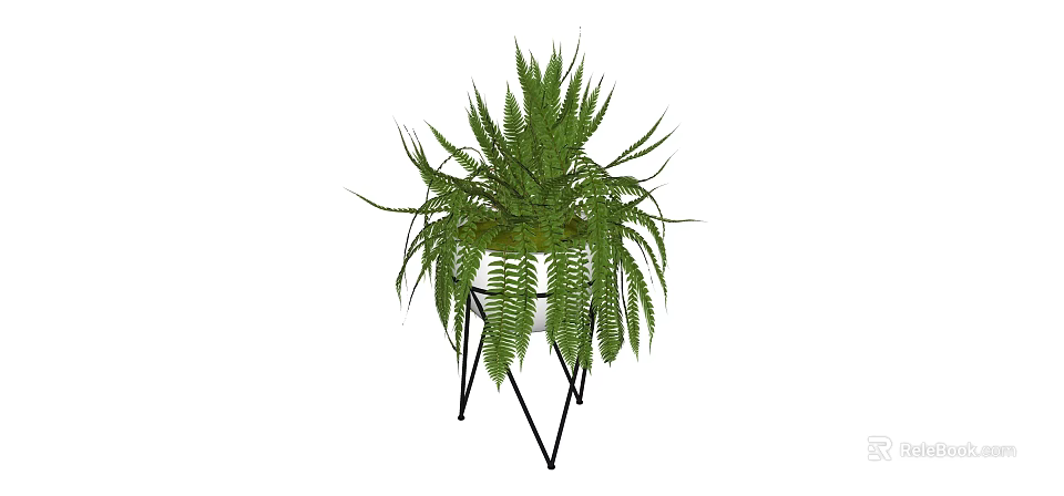 Modern Fern Bonsai Potted Plant With Metal Stand For Indoor Decor 3d model 