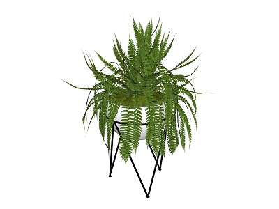 Modern Fern Bonsai Potted Plant With Metal Stand For Indoor Decor 3d model