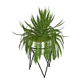 Modern Fern Bonsai Potted Plant With Metal Stand For Indoor Decor