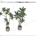 Green Plant Wall Design with Potted Plants and Lush Green Leaves in Modern Pots