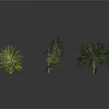 Diverse Collection of Various Plants Including Palm Trees Ferns and Leafy Greens on White Background