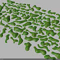 Green Irregular Shaped Vegetation Cover With Natural Design In Garden Landscape