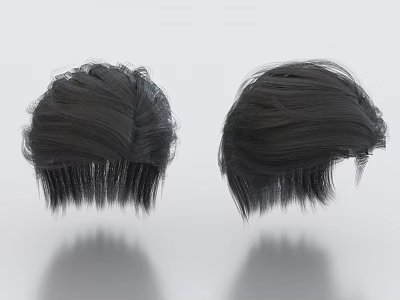 Hair Wig Hairstyle Curly Hair Long Hair Short Hair 3d model