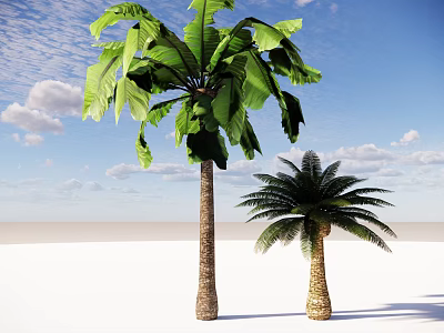 Tropical Banana and Palm Trees Under Blue Sky With White Clouds on Sandy Ground 3d model
