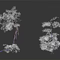 Three White Trees With Dark Background And Reflections In Studio