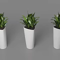 Three Modern Bonsai Potted Plants In White Geometric Planters With Green Foliage