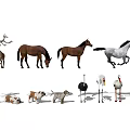 Reptile Figurine Collection Showcasing Various Species And Detailed Models
