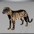 Realistic Spotted Wild Cat with Brown And Black Patterned Fur Standing on Dark Reflective Surface