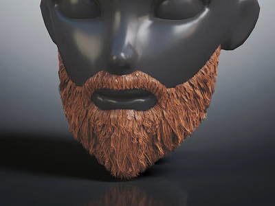 Realistic Black Head Model With Facial Organs And Brown Beard Hair 3d model