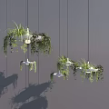Stylish Pendant Lights With Green Plants Hanging In Modern Interior