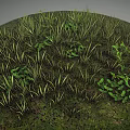 Lush Natural Terrain Covered With Green Grass Small Plants And Thick Vegetation