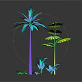 Colorful Tropical Palm Trees With Small Green Plants On Dark Background Reflection