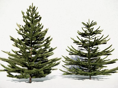 Green Shrub Plants With Dense Foliage And Brown Trunks On White Background 3d model