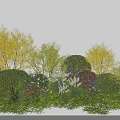 Lush Shrub Landscape Featuring Green Yellow Foliage And Colorful Flowers On Grass