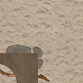 Textured Sandy Beach With Scattered Stones And Smooth Wooden Plank