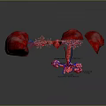 Medical Device 3D Anatomical Respiratory System Model with Labeled Parts Showing Lungs Trachea Bronchi Alveoli