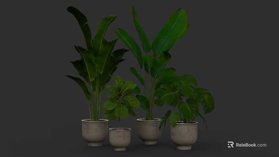 Lush Indoor Living Plant Wall With Various Green Plants And Ceramic Pots 3d model 