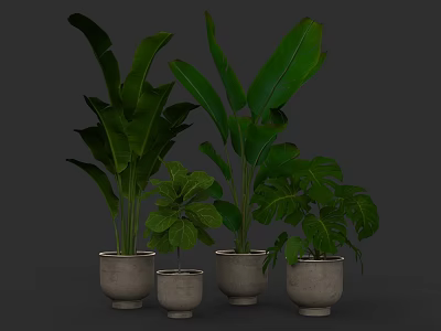Lush Indoor Living Plant Wall With Various Green Plants And Ceramic Pots 3d model