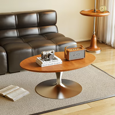 Modern Coffee Table With Camera Radio Books And Black Leather Sofa On Wooden Floor 3d model
