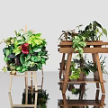 Indoor Plant Arrangement with Various Green Foliage and Red Flower on Wooden Stands