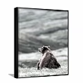 Animal Painting of a Bear Sitting on Grassland with Mountain Background Black and White Style